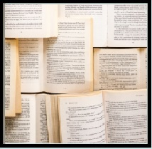 Michigan Administrative Law Materials